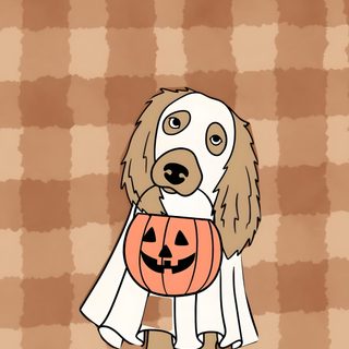 a dog with a pumpkin in its mouth sitting on a checkered tablecloth background Cute Halloween Dog Cartoon rosy brown