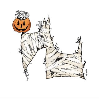 a drawing of a dog with a pumpkin on its head Halloween Scottish Terrier Scottish Terrier Halloween Costume, Scottish Terrier Western Art, Norwich Terrier Halloween, white