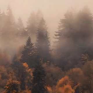 trees with yellow and red leaves in the foreground are shrouded by fog Halloween Banner With Forest Medium Widget Fall Aesthetic, Autumn Aesthetic Ipad, Fall Aesthetic Background Desktop, dim gray
