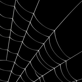 a black and white photo of a spider web Spider Web Halloween Spiderweb, Black Spiderweb, Spiderweb Lockscreen, Black Spider Web, Spider Web,