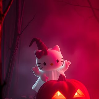 a hello kitty pumpkin in the woods with a cat on it's head and a jack - o - lantern Halloween Hello Kitty 3d Iphone, Hello Kitty, Cool Art, Halloween Hello Kitty Lockscreen, maroon