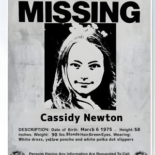 the missing poster for casey newton is shown in black and white, with an image of a woman's face Missing Halloween Poster Missing Persons Poster, Andie Bell Missing Poster, Fnaf Newspaper Clippings, light gray