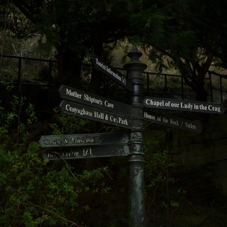 the street signs are clearly visible for all of us to see on this dark day Aesthetic Sage Green Halloween Dark Solarpunk, Goblincore Widget Icons, Dark Academia Woods Aesthetic, black