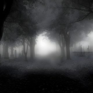 black and white photo of foggy graveyard with trees in the foreground at night Bing Halloween Dark Gothic Aesthetic Computer, Gothic Forest Background Aesthetic, Dark Foggy Cemetery Atmosphere, dark slate gray