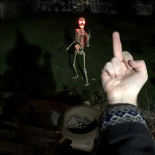 a person is pointing at a skeleton in the dark with their hand up to the camera Halloween Meme Skeleton, Skeleton Pointing At You, Skeleton Funny, Goofy Skeleton, Fake Skeleton, black