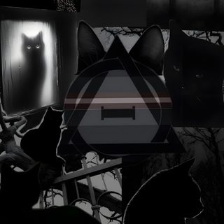 a black cat sitting in front of a window next to other pictures and cats on the wall Therian Halloween Black Cat Memes Hilarious, Black Cat In Bath Meme, Black Cat Therian Background,