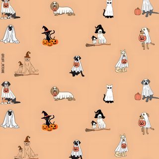 an orange background with black and white cartoon characters on it's sides, all dressed up in halloween costumes Halloween Dog Background Fall With Dogs, Dog Ghost, Ghost Dog, Aesthetic Pet Background, misty rose