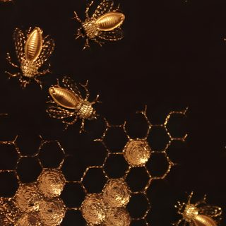 some gold colored bugs on a black background with honeycombs and circles around them Halloween Bees Accent Ideas Bee Hive, Insect Photography Gold, black