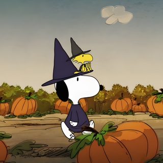 a cartoon dog wearing a witches hat standing in front of pumpkins Charlie Brown Halloween Laptop Fall Widgets Long, Halloween Widgets Medium, Horizontal Halloween, gray