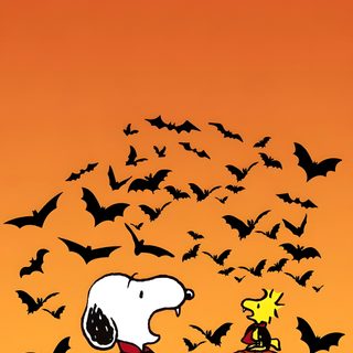 snoop and his pumpkin with bats flying in the sky behind him, on an orange background Snoopy Halloween Images Snoopy, Peanuts, Halloween Iphone Backgrounds, Halloween Backgrounds, chocolate