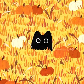 Wallpaper Desktop Fall, Orange Wallpaper Aesthetic Laptop, Ipad Background Fall, Cute Halloween Computer Wallpaper, Aesthetic Halloween Wallpaper Laptop, Fall Computer Background, Mac Wallpaper Fall, Halloween Wallpaper Aesthetic Laptop, Autumn Wallpaper Aesthetic Laptop Halloween Cats Laptop Desktop Fall, Orange Aesthetic Laptop, Ipad Background Fall, sandy brown