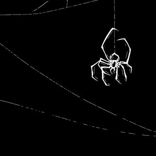 a spider hanging from a web in the dark Spider Halloween Spider Wallaper, Black Spidey, Spooky Goth, Dark And Aesthetic, Black And White Spider,