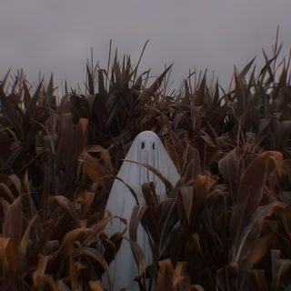 a ghost in the middle of a corn field Grunge Halloween Aesthetic Supernatural Fall Aesthetic, Yellow Ghost Aesthetic, Ghost In Cornfield, dark slate gray