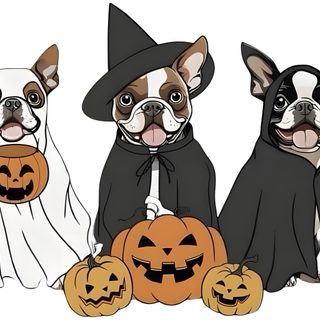 Boston Terrier Halloween Decor, French Bulldog Halloween Background, Halloween White T-shirt With Sublimation Print, Boston Terrier Witch Svg, Boston Terrier Halloween Background, Dog In Halloween Costume Clipart, Boston Terrier Halloween Clipart, Boston Terrier Ghost Art, Sublime Shirt Halloween Boston Terrier Boston Terrier Halloween Decor, French Bulldog Halloween Background, Halloween White T-shirt With Sublimation Print, gainsboro