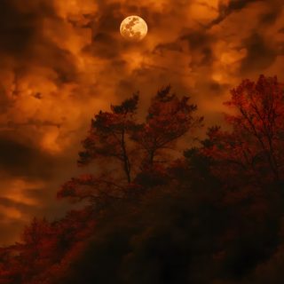the full moon shines brightly in the sky above some trees and clouds at night Halloween Sky Iphone Fall Harvest Moon, Autumn Moon Pictures, Autumn Harvest Moon Scene, maroon