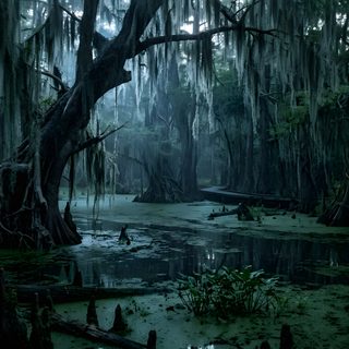 the swamp is covered in moss and trees Halloween Swamp Cypress Swamp, Jurassic Park, Halloween, Drawings, black
