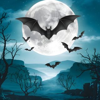 bats flying in front of a full moon Halloween Bat Happy Halloween Pictures, Halloween Puns, Halloween Jokes, Halloween Facts, dark slate gray