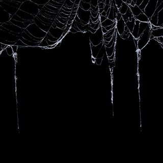 spider webs hanging from the ceiling with icicles on them in black and white Halloween Web Black Spider Web Aesthetic, Spider Gif Banner, Aesthetic Spider Web Black Background,