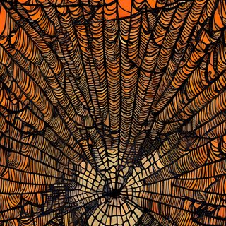 a spider web is shown in front of an orange background Halloween Spiders At University Of Texas saddle brown