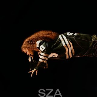 a lizard is laying down on the ground Sza Halloween black