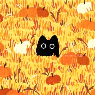a black cat sitting in the middle of a field full of pumpkins Halloween Patch Desktop Fall, Orange Aesthetic Laptop, Ipad Background Fall, sandy brown