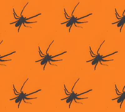 black spider silhouettes against an orange background Halloween Spiders At University Of Texas Spider Fabric, Black And Yellow Spider Texas, Orange And Black Spider Print,