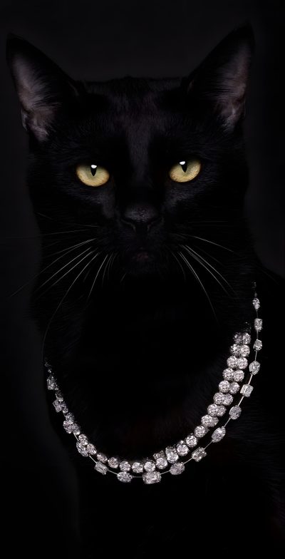 a black cat wearing a diamond necklace Black Cat Diamonds For Halloween In Gift Ideas For Cat Lovers, Black Cat With Diamond Necklace, Elegant Black Cat Jewelry,