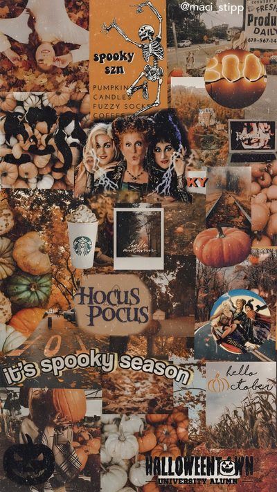 a collage of halloween pictures and pumpkins with the words hocots pocus on them Preppy Halloween Collage Halloween Iphone, Halloween, Autumn Phone, Vintage Halloween Art, sienna