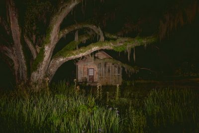 a tree with moss growing on it next to a small cabin in the woods at night Halloween Swamp Southern Gothic Atmosphere, Swamp House Louisiana Background, Night At The Bayou, black