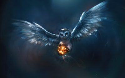 an owl is flying with its wings spread out and holding a glowing ball in it's beak Halloween Owl Hd Owl Iphone, Free Halloween, Owl Background, Halloween, Filmy Vintage, dark slate gray