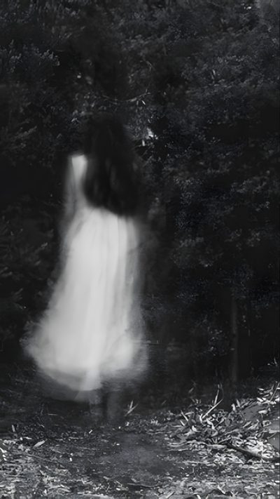 a woman in a white dress is walking through the woods Halloween Not Blurry Haunted Woods Aesthetic, Pretty Ghost, Ghost Beauty, dark slate gray
