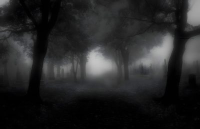 black and white photo of foggy graveyard with trees in the foreground at night Halloween Ghost Tree Dark Gothic Aesthetic Computer, Gothic Forest Background Aesthetic, Dark Foggy Cemetery Atmosphere, black