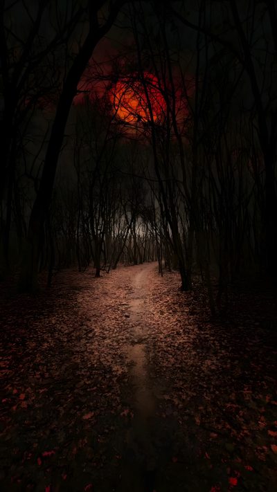 a path in the woods at night with red light coming from behind trees and leaves on the ground Halloween Woods Dark Forest Mountain, Forest Night Moon, Scenery Video Aesthetic, black