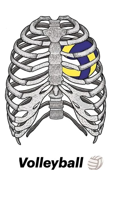 an image of a volleyball ball in the skeleton's ribcage with words volleyball on it Volleyball Halloween Red Volleyball Background, Volleyball Going Over Net Drawing, Heart-shaped Volleyball Drawing, white