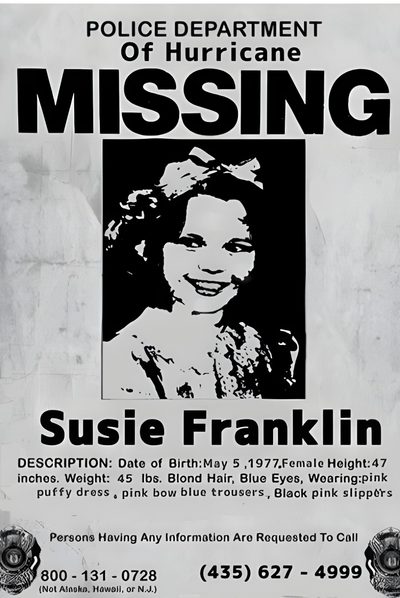 the missing poster for susan franklin Missing Halloween Poster Missing Poster Aesthetic, Fnaf Missing Poster, Halloween Missing Poster, silver
