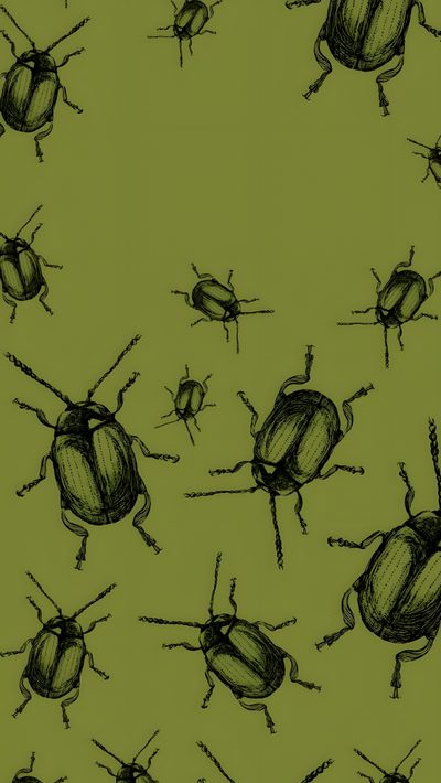 a green background with lots of black bugs on the back and side of each bug Halloween Insects Funky, Phone Patterns, Art Iphone, Iphone Background, Cool Art, Cute Patterns, olive drab