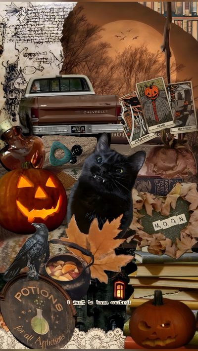 a collage of halloween items including a cat, pumpkins and other things in front of a car Halloween Junk October Halloween Aesthetic, Fall Witch Aesthetic, Halloween Aesthetic, dark olive green