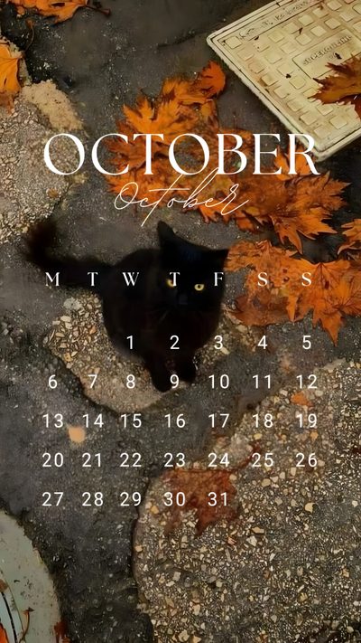 a black cat sitting on top of a sidewalk next to autumn leaves and a calendar October 2025 Calendar Halloween October Calendar, October Calendar Iphone, October, dark olive green