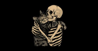 a skeleton hugging a cat with a human skull on it's back in the dark Halloween Skeleton Cat Laptop Desktop Dark Aesthetic, Goth Aesthetic Pc, Grunge Laptop Aesthetic, black