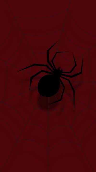a black spider on a red background Halloween Spider Man Spider, New Collections Poster, Red And Black Spider, Spiderman 1, Red Pictures, maroon
