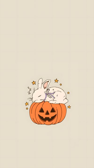 a rabbit sleeping on top of a pumpkin Halloween Bunny For Phone Cute Halloween Lockscreen Aesthetic, Halloween Bunny Hd, The Pumpkin Rabbit, light gray