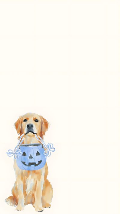 a dog with a pumpkin in its mouth Golden Retriever Halloween Golden Retriever, Dog Background, Funny Lockscreen, Cute Home Screens, seashell