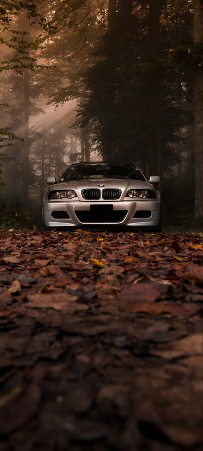 a silver car parked in the middle of a forest Bmw Halloween Autumn Forest Car Photography, Bmw In Fall Scenery, Car In Forest With Autumn Leaves, black