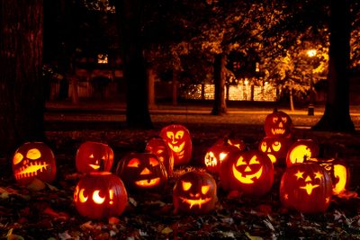 a group of carved pumpkins sitting on the ground in front of trees at night Halloweentown Pumpkin Jackolantern Jamboree, Halloween Jack-o'-lanterns Glowing, Carved Jack-o'-lanterns Outdoors, black