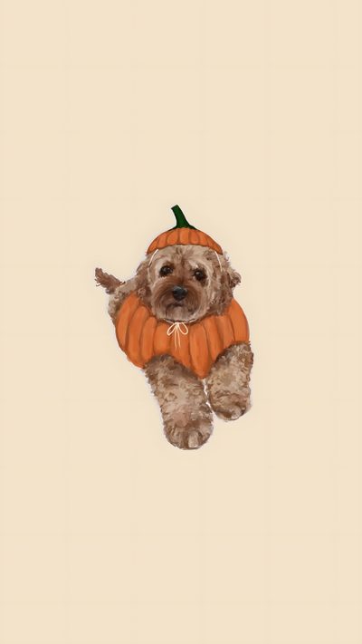 a dog with a pumpkin on its back Dog Halloween Aesthetic Cute Backgrounds Fall Aesthetic, Cute Halloween Backgrounds Aesthetic, Cute Dog Thanksgiving, bisque