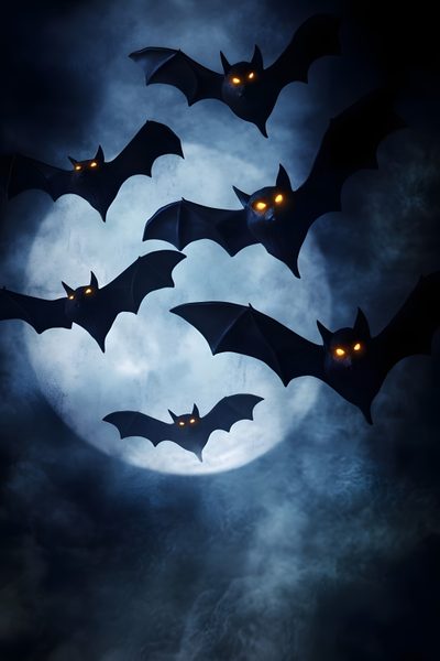 bats flying in the sky with glowing eyes Halloween Flying Monster Scary Bats Design, Halloween Pumpkin Stencils, Bat Flying Over Water At Night, dark slate gray