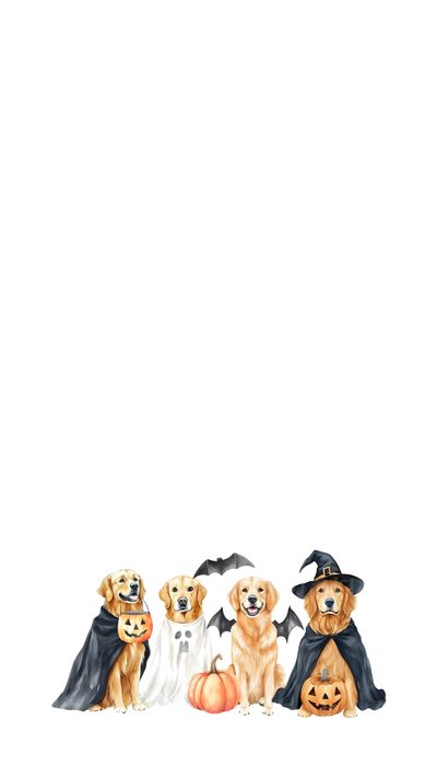 three dogs dressed up as witches and one dog with pumpkins in front of them Golden Retriever Halloween Fall Dog Background, Fall Golden Retriever, Fall With Dogs, Dog Pumpkin, white