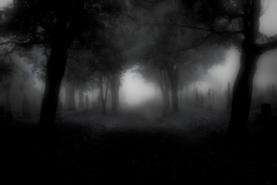 black and white photo of foggy graveyard with trees in the foreground at night Black Halloween 4k Dark Gothic Aesthetic Computer, Gothic Forest Background Aesthetic, Dark Foggy Cemetery Atmosphere,