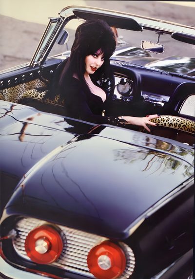 a woman sitting in the drivers seat of a black car with leopard print on it Elvira Halloween Elvira Movies, Cassandra Peterson, Elvira Mistress Of The Dark, Bettie Page, dim gray