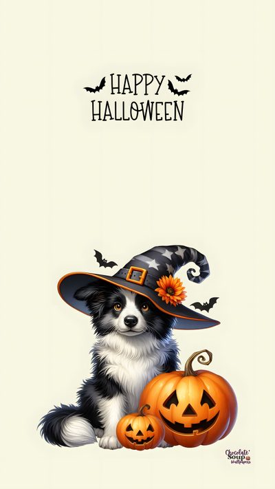 a black and white dog wearing a witches hat next to two jack o lantern pumpkins Dog Halloween Iphone Cute Dog Halloween, Halloween Dog Background, Dog Halloween Iphone, beige